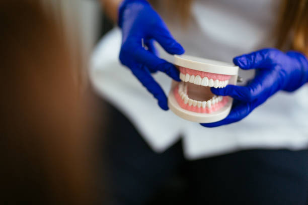 Best Dentures (Full and Partial)  in West Hill, OH